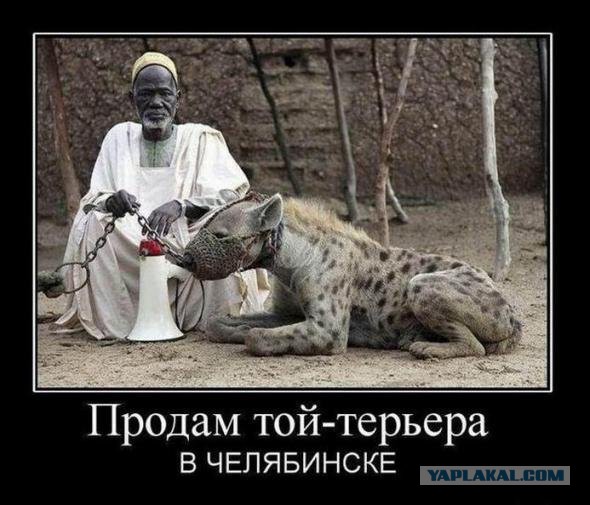 Картинки