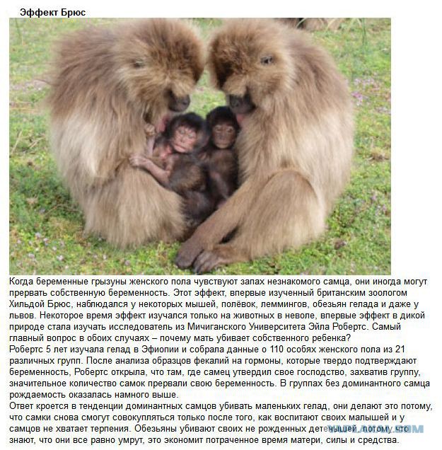 20 фактов обо всем