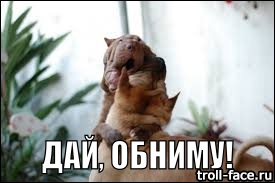 Маламут птица гордая, по лестнице не ходит