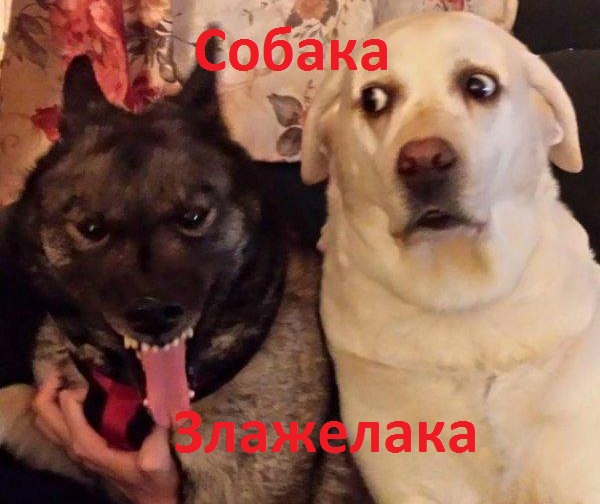 Что происходит?