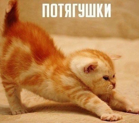 Всяко - разно...картинки