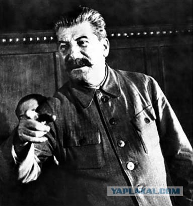 Внучка Сталина сфотографировалась в образе панка в США