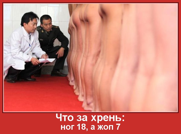 Позитивная подборка демотиваторов