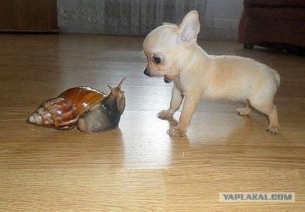 Эти глаза напротив. Калейдоскоп.