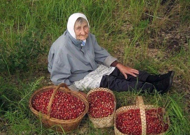 Забавные картинки из сети