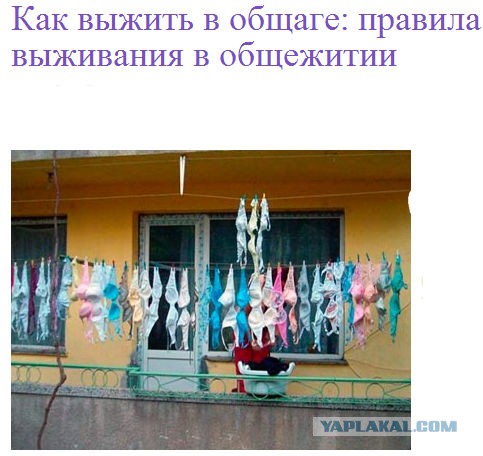 Девушки. Соцсети.