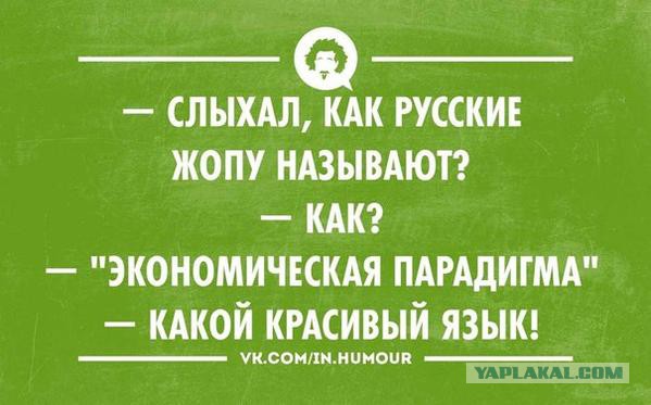 Юкка: уход и размножение