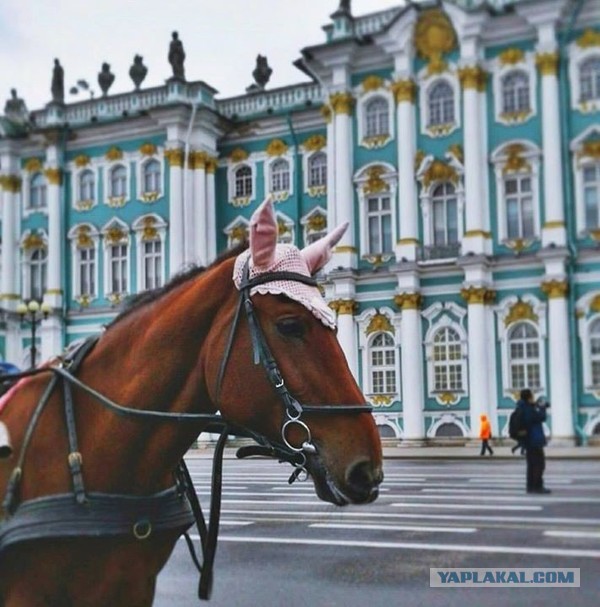 Пост удовлетворения