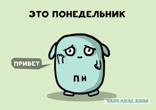 Порция абсурдного юмора на следующую неделю