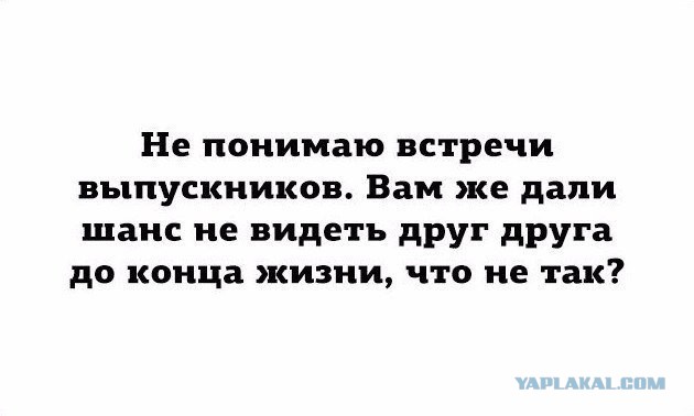Смешные комментарии из социальных сетей 10.02.2017