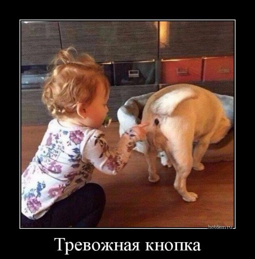 Подборка интересных и веселых картинок