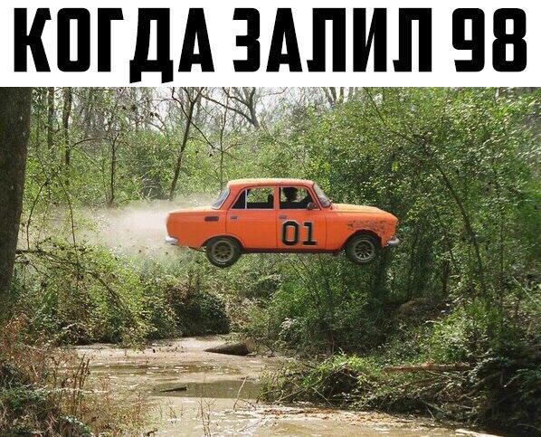 Подборка безудержного веселья