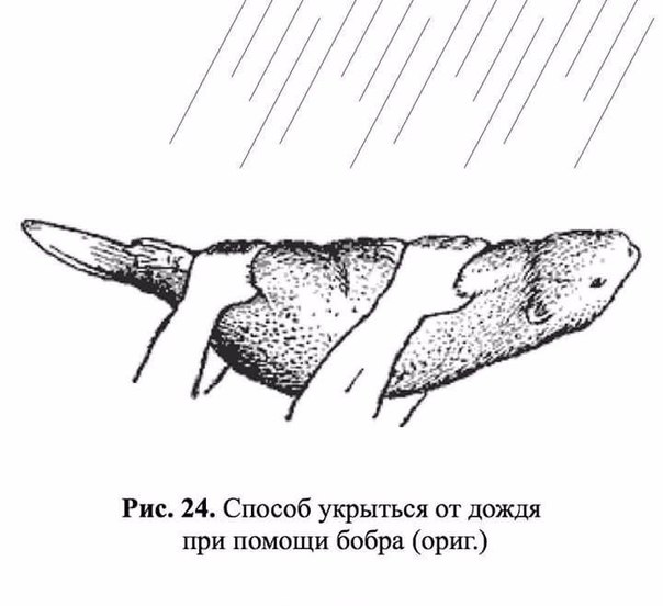 Веселые картинки - 2. Ждем выходных. Деградация. Философия. Абсурд. И капелька чернухи