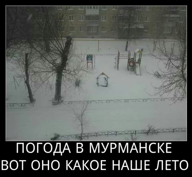 Дурацкое лето 2017