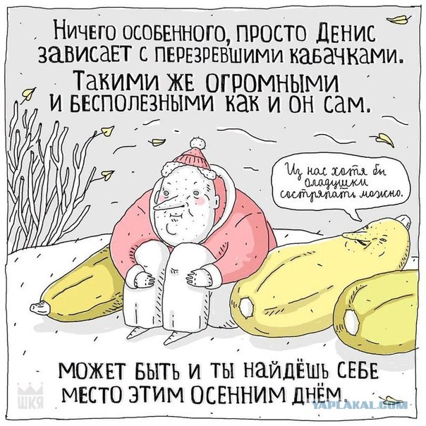 А вот и деградация подтянулась! Ныряем в омут с головой!