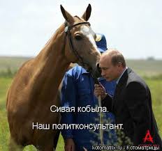 В подмосковном Королеве избили сборщика подписей за выдвижение Ксении Собчак на выборы президента