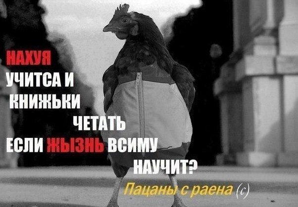 Ударная доза тупежа и деградации
