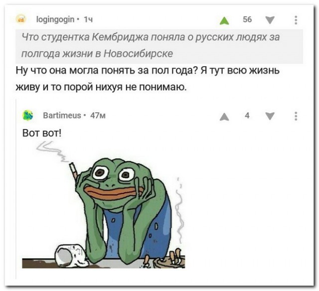 Смешные комментарии из социальных сетей 11.05.2018