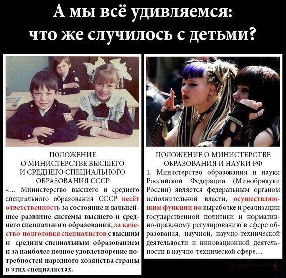 Амурского ученика внесли в список одаренных учеников России, а его учителя наказали