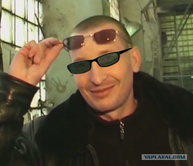 Пашкет, демотиваторы и мемы