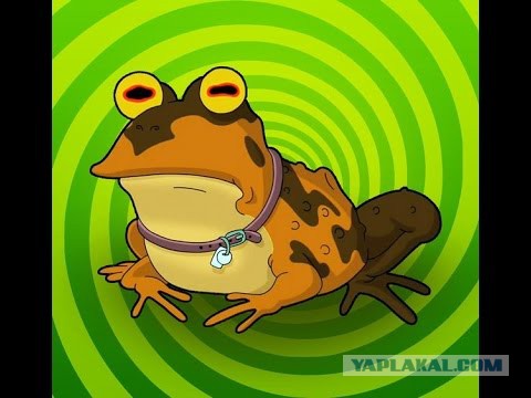 Они... не сталкиваются!