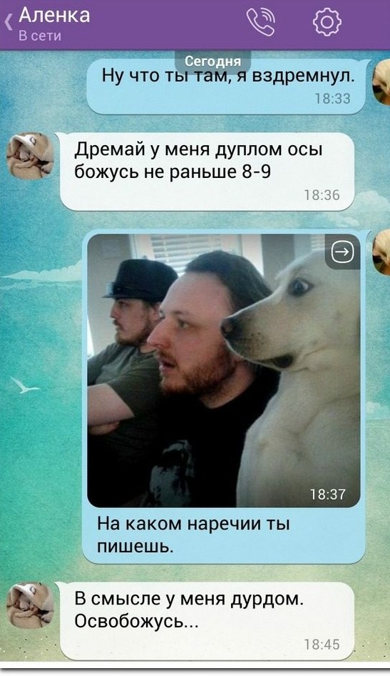 Прикольные комментарии и высказывания из Сети