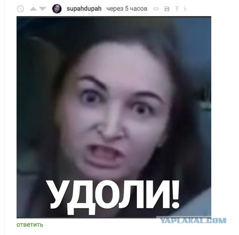 "Золотой п**ды центральный волос"