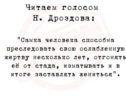Бредзона
