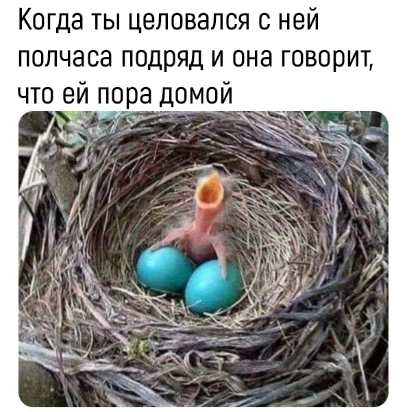 Прикольные комментарии и высказывания из Сети
