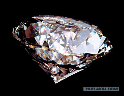 Самые редкие и уникальные коллекции мира