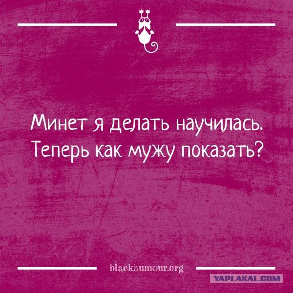 Предпятничная порция картинок
