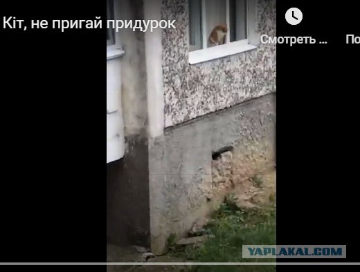 Эх, жизнь моя жестянка!