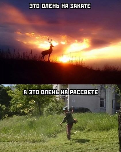 Так себе картинки 20.07.20