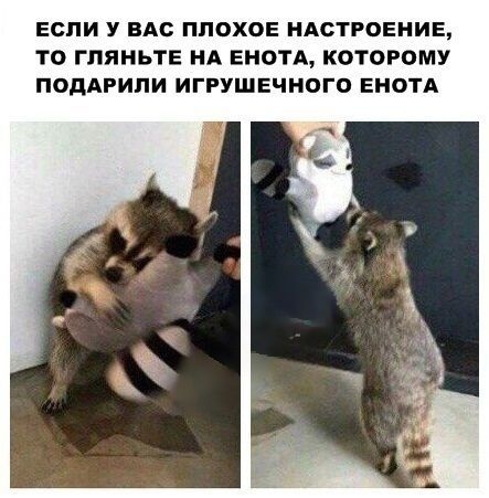 Бредзона 25.08.2020
