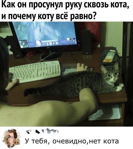 Картинки и мемы для настроения 02.02.2021