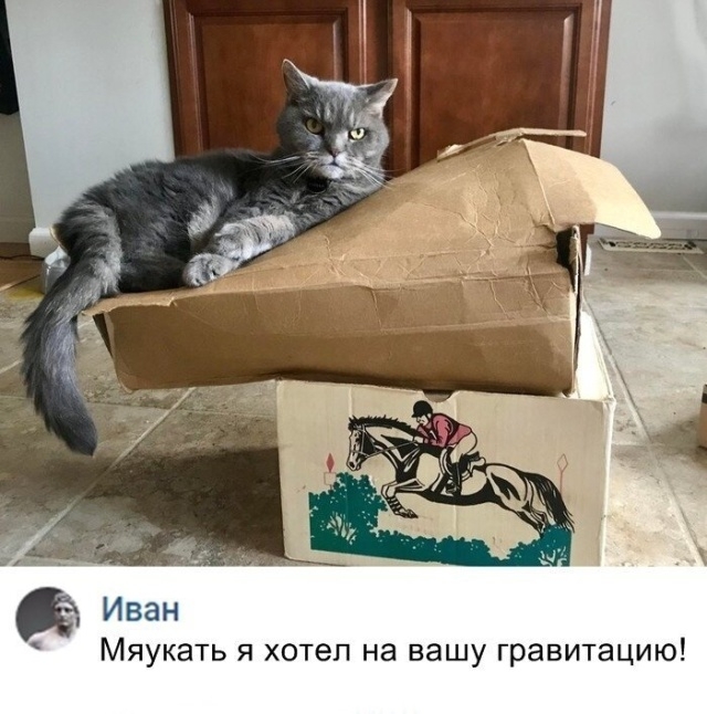 Картинки и мемы для настроения 012