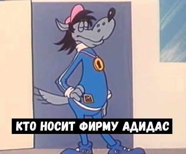 15404186.jpg