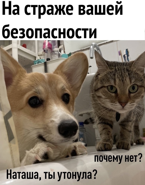 Баянисто-небаянистый юмор 15.06.21
