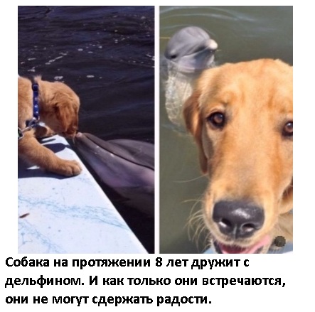 Так себе картинки 20.08.21