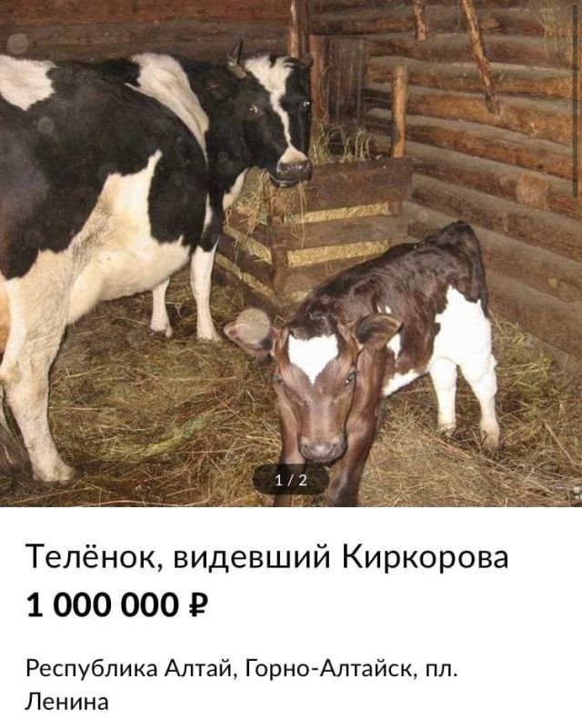 Картинки и мемы для настроения 09.09.2021