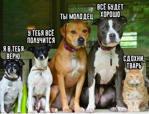 Путин уходит на самоизоляцию