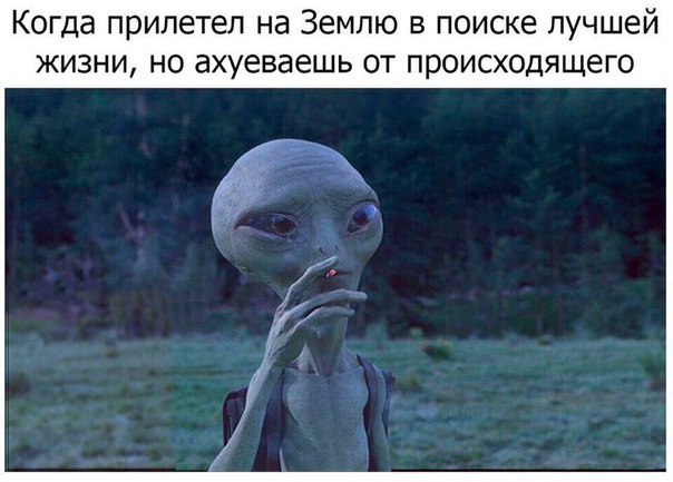 Почему инопланетяне улетают с Земли?