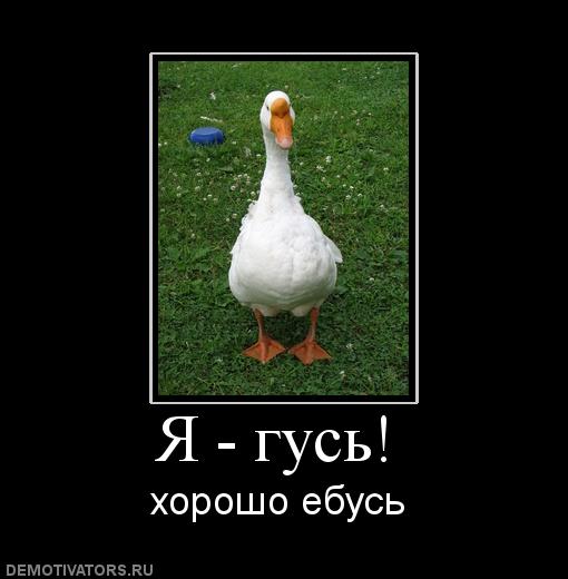 Врач скорой помощи: Женщины калечат мужчин!
