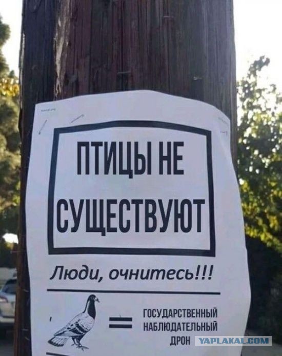 КартNнки всякие развлекательные с надписями, но в основном без