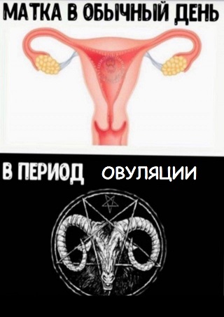 Пятница. И немного слегка пошлых картинок с надписями и без 16+ (29.07)