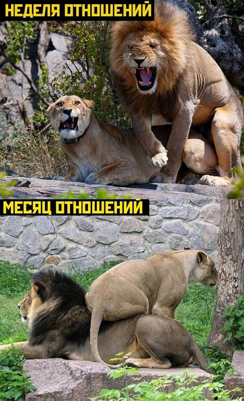 Картинки и мемы, всем хороших выходных