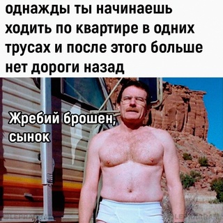 Немного картинок для настроения - 114