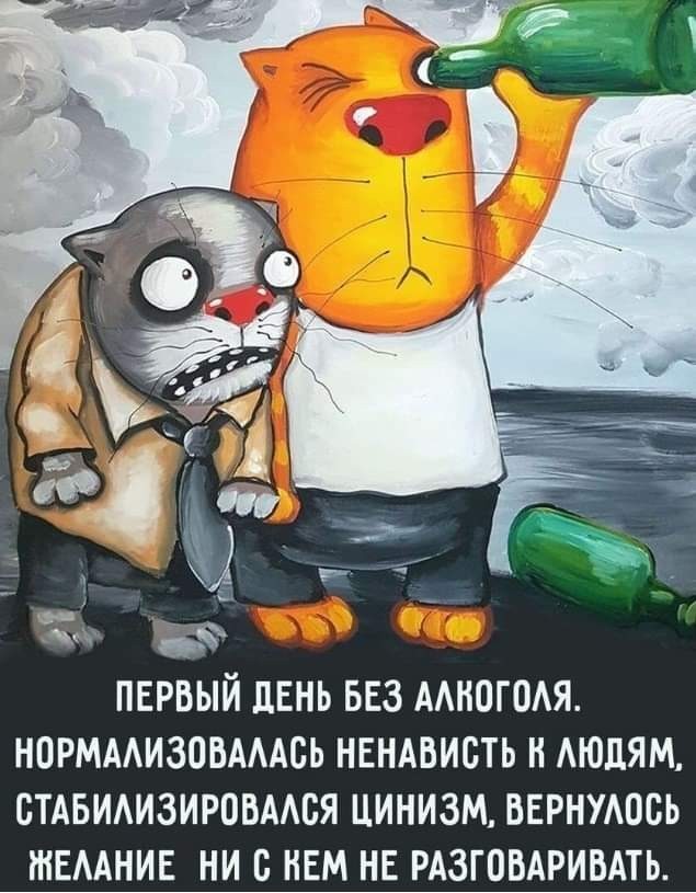 Алкопост 12.11.22