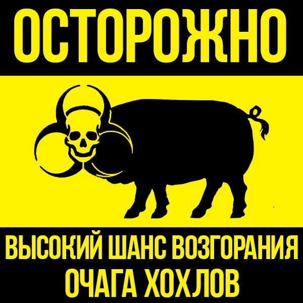 Первый успех западных зенитчиков