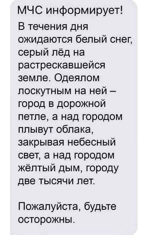 Весёлый полтишок 24.11.22